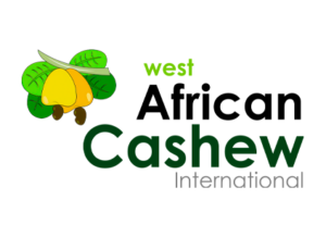 west-african-cashew